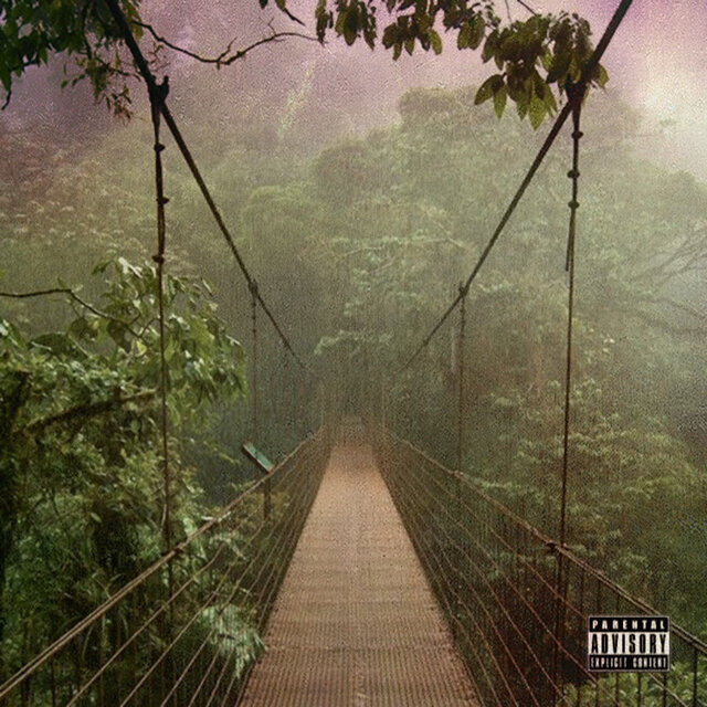 Jungle