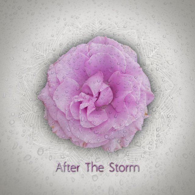 After the Storm