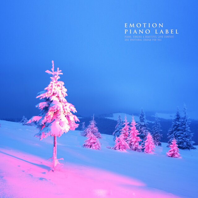 A Deep Night Music World With A Warm Piano