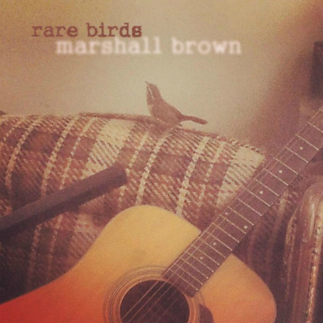 Rare Birds