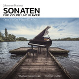 Sonate Nr. 1 für Klavier und Violine in G Major, Op. 78: I. Vivace ma non troppo