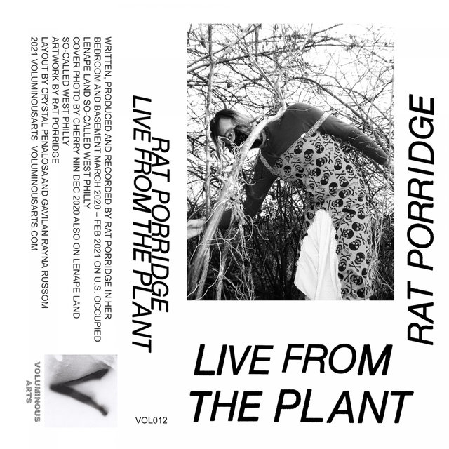 Live from the Plant