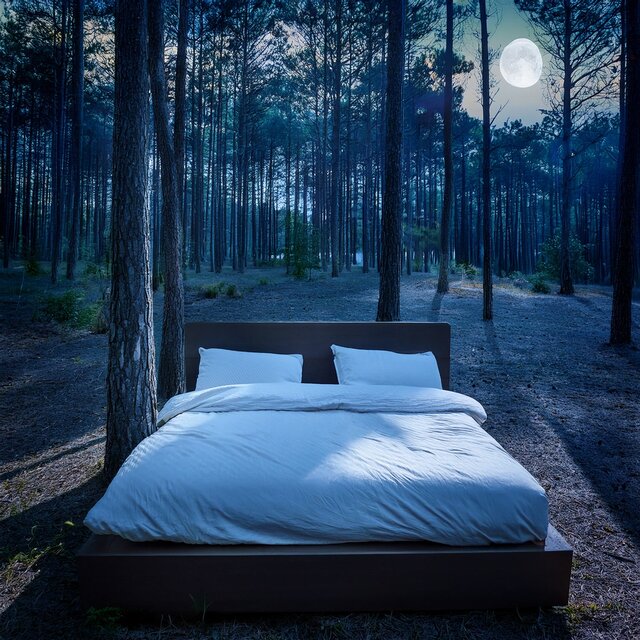 Hip Hop Slumber: Rhythms for Peaceful Sleep