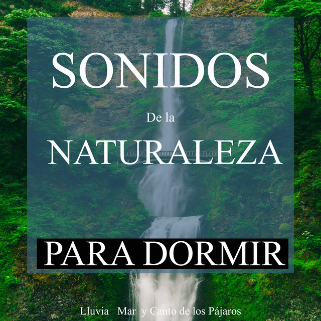 Sonidos de la Naturaleza Para Dormir: Lluvia, Mar y Canto de los Pájaros