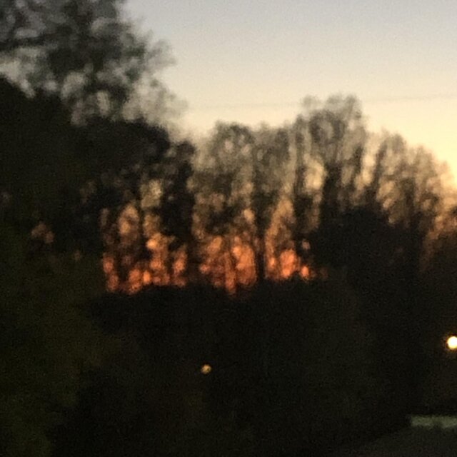 Caterwaul