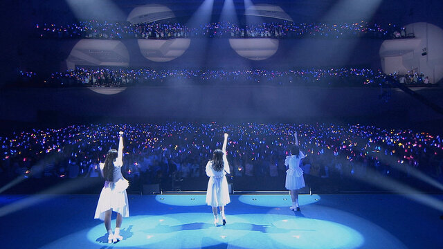 Cobalt - 2017 PACIFICO YOKOHAMA Live Version