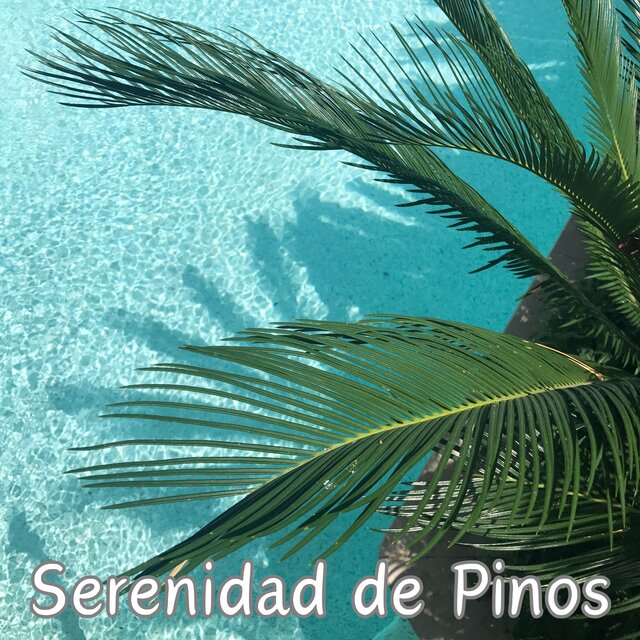 Serenidad de Pinos