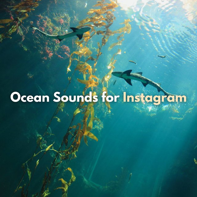 Ocean Sounds for Instagram