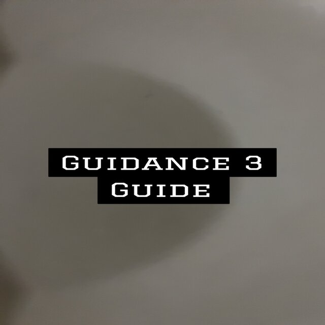 Guidance3