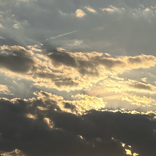 Orchestrated Symphony