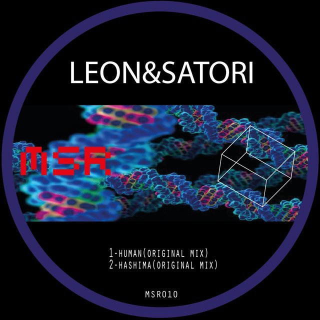 MSR010