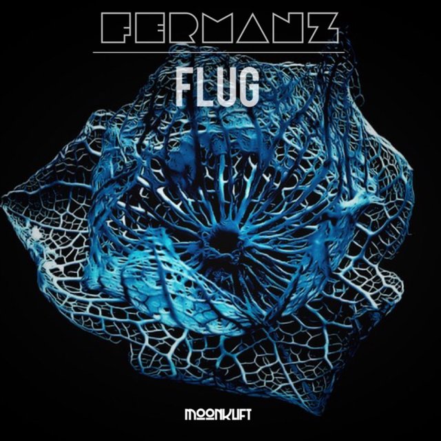 Flug