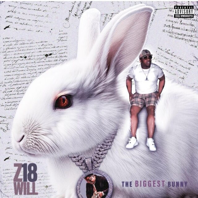 The Biggest bunny