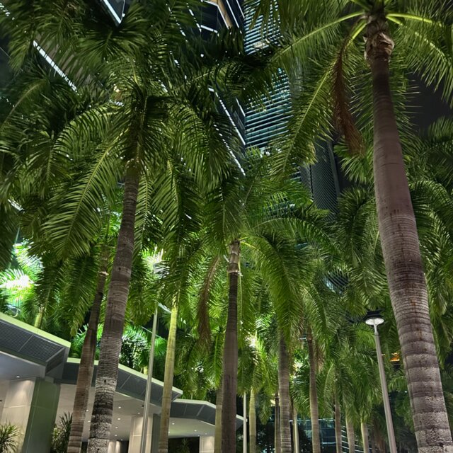 Cover art for album February 2026 by User