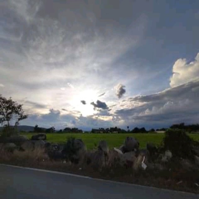 Wind