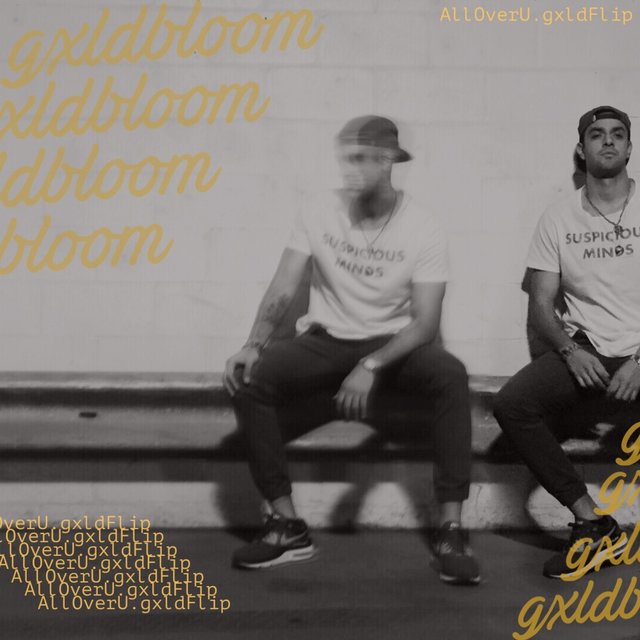 AllOverU.gxldflip