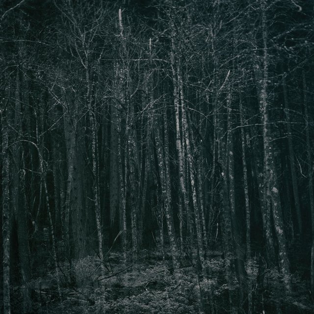 Book III: Sound of the End Times