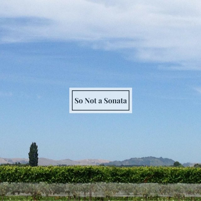 So Not a Sonata