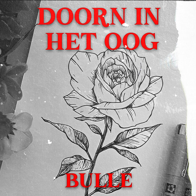 Doorn In Het Oog