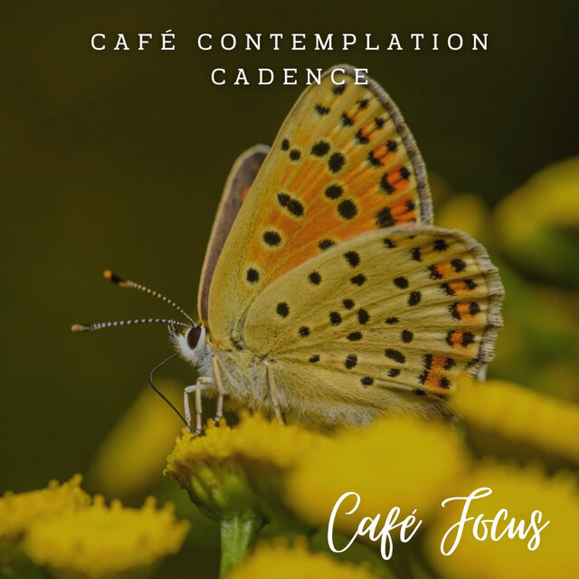 Study Serenades: Jazz Café Focus