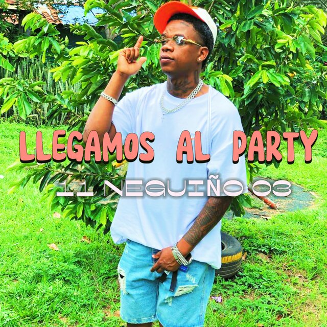 LLEGAMOS AL PARTY