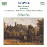 Adagio, Variations and Rondo on Schöne Minka, Op. 78: Variation 7: Finale - Rondo