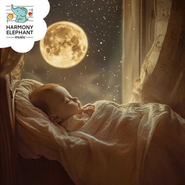 Midnight’s Dream Songs