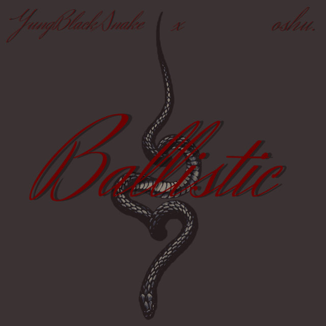 Ballistic