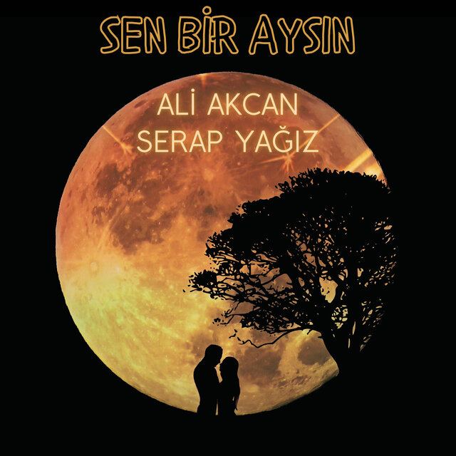 Sen Bir Aysın