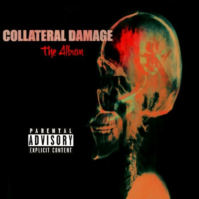 Collateral Damage