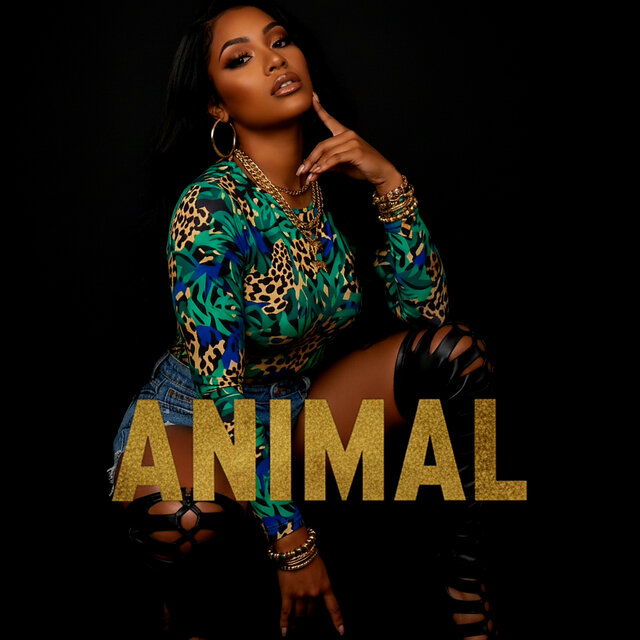 Animal