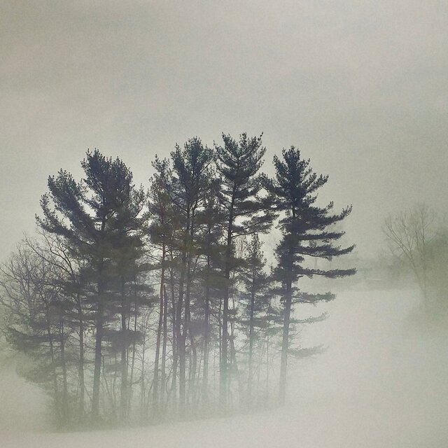 Whispers