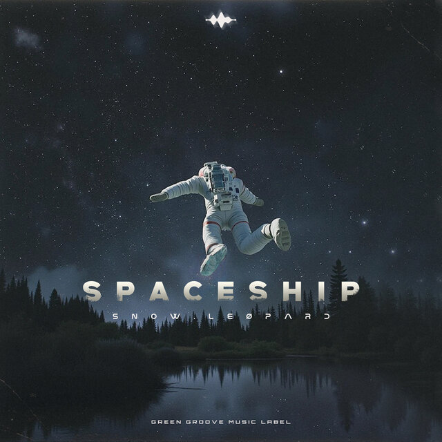 Spaceship