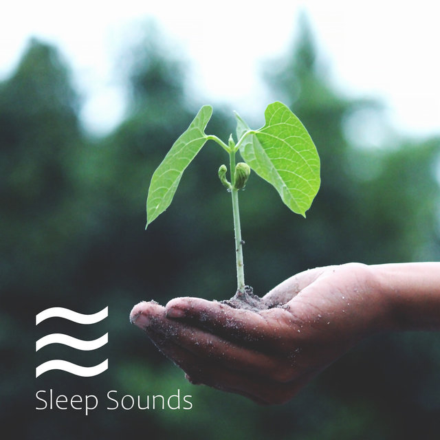 Calming Babies Noise Spring Collection