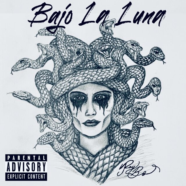 Bajo La Luna