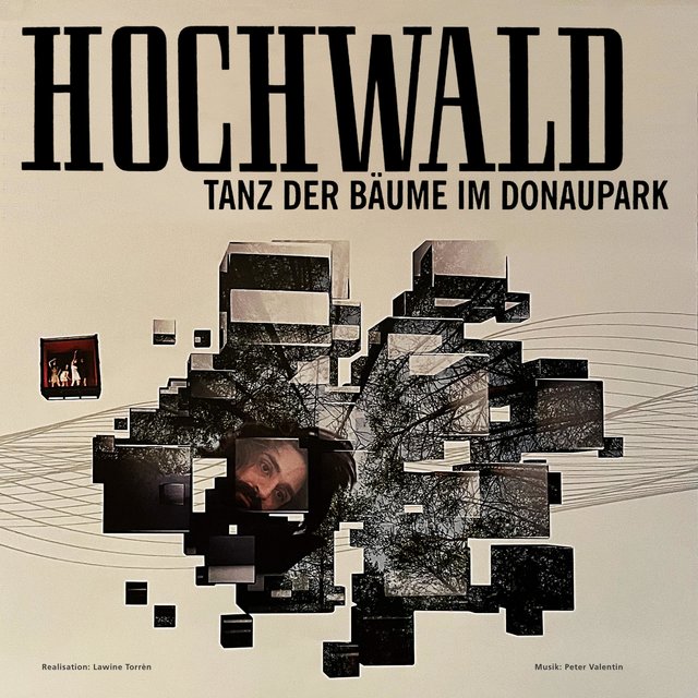 Hochwald (Linzer Klangwolke 2015)