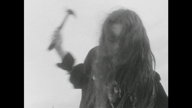 twigs
