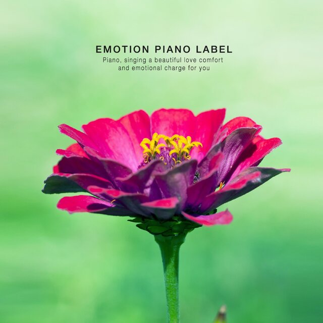 New Age music and a novel (New Age for your rest)