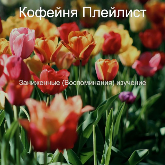 Заниженные (Воспоминания) изучение