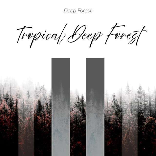 Tropical Deep Forest