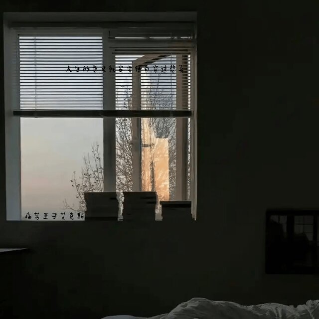 人生的意义就是要独自穿过悲喜