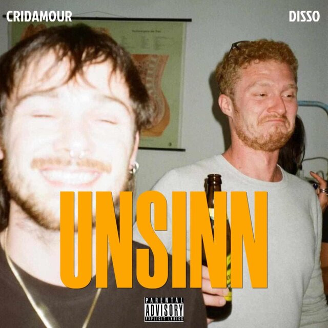 UNSINN