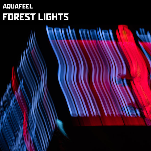 Forest Lights (Compiled By Sunstryk)