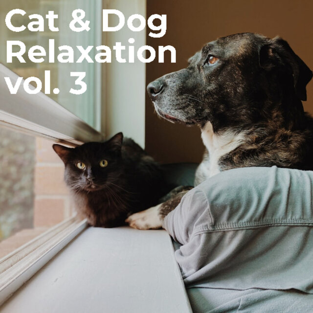 Cat & Dog Relaxation Vol. 3