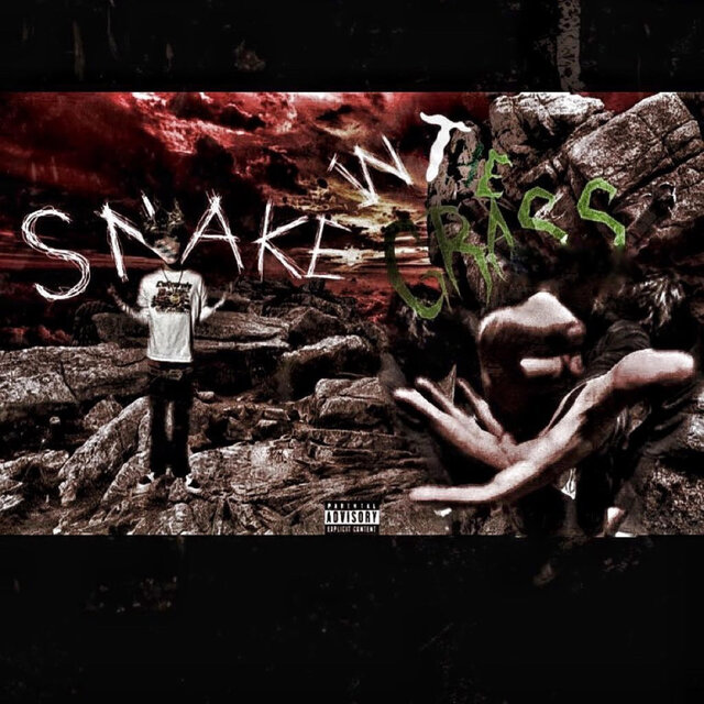 Snake In The Grass