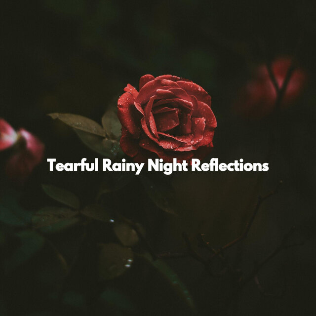 Tearful Rainy Night Reflections