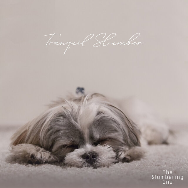 Tranquil Slumber
