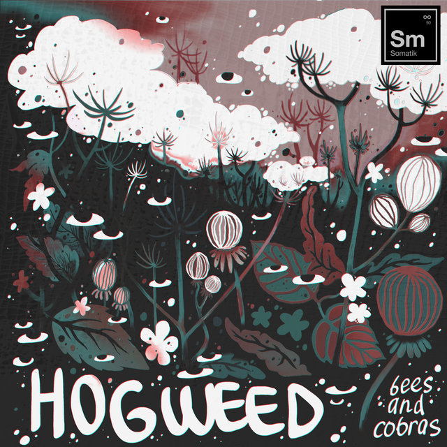 Hogweed