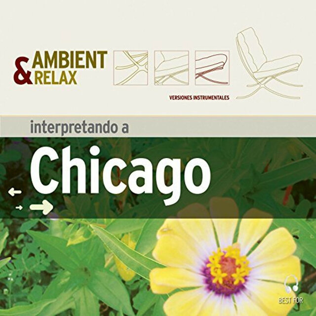 Interpretando a Chicago