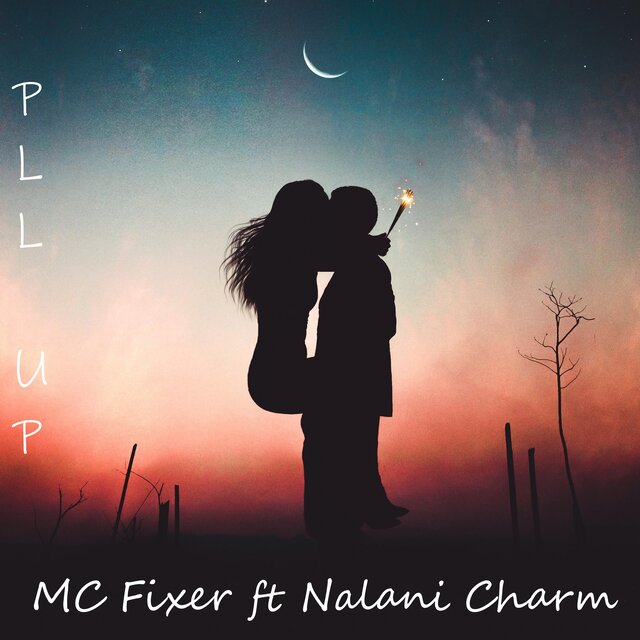 Pull Up (feat. Nalani Charm)
